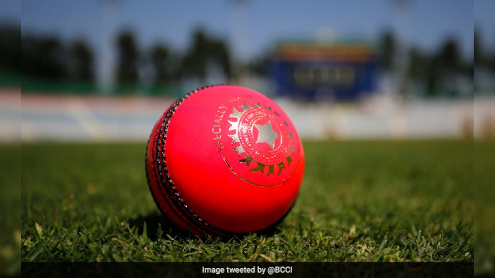 अब टेस्ट मैच के बीच में बदलेगा गेंद का रंग, रेड बॉल की जगह कर पाएंगे पिंक बॉल का इस्तेमाल, ICC ने दी मंजूरी