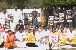 Rahul Gandhi Roasts BJP Over Fuel Prices, Congress 'Worships' Cylinders Rahul Gandhi Roasts BJP Over Fuel Prices, Congress 'Worships' Cylinders