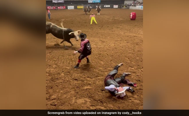Watch: Dad Saves Son From Raging Bull In Hair-Raising Video