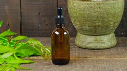 India Highlights Efforts On Evidence-Based Traditional Medicine Ahead Global Summit