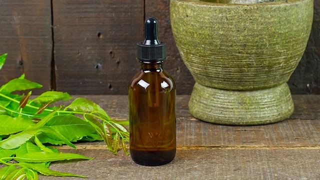 India Highlights Efforts On Evidence-Based Traditional Medicine Ahead Global Summit