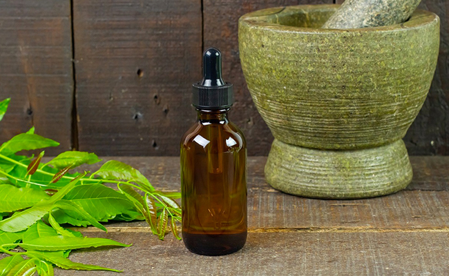 India Highlights Efforts On Evidence-Based Traditional Medicine Ahead Global Summit