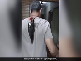 इस शख्स की पीठ पर बार-बार चोंच मारता रहा वुडपैकर, हजार कोशिशों के बाद भी पकड़ना हुआ मुश्किल इस शख्स की पीठ पर बार-बार चोंच मारता रहा वुडपैकर, हजार कोशिशों के बाद भी पकड़ना हुआ मुश्किल