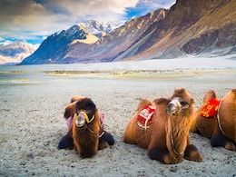 Ladakh's Nubra Valley Could Soon Get Direct Flights. Kargil Readiness Check On Sept 1