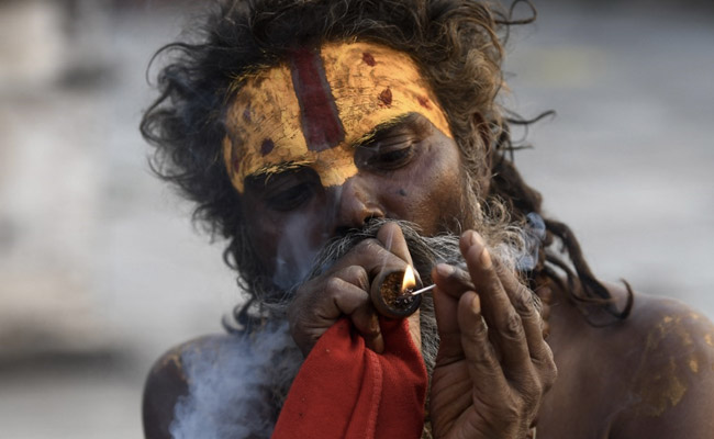 Nepal Seeks To End Marijuana Ban After Half A Century