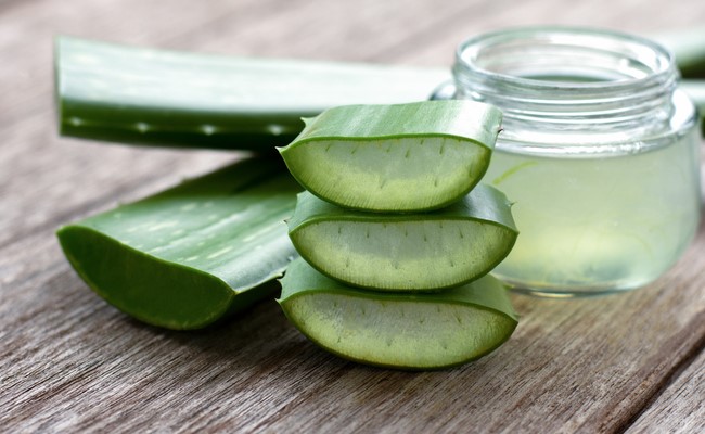 Aloe Vera: Most Trusted Beauty Ingredient For Skin And Hair