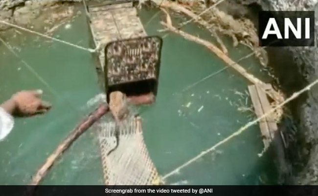 कुएं में गिरे तेंदुए को बाहर निकालने के लिए रेस्क्यू टीम ने किया गजब जुगाड़, Video देख आप भी करेंगे तारीफ