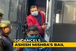 Supreme Court Cancels Minister's Son's Bail, Says Surrender In A Week Supreme Court Cancels Minister's Son's Bail, Says Surrender In A Week