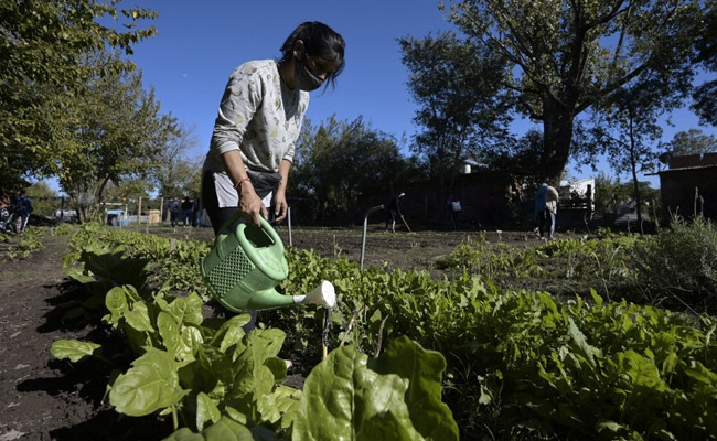 Food Prices Rose 20% In Just 3 Months In This Country