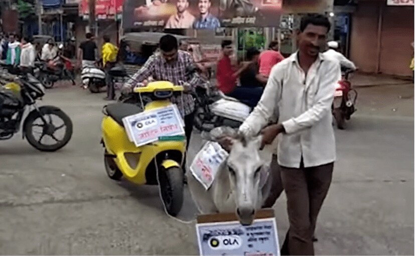 Ola S1 Owner Gets Electric Scooter Towed By A Donkey