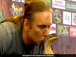 किंग कोबरा के सिर पर Kiss करने की कोशिश कर रहा था शख्स, सांप को आ गया गुस्सा, Video देख खड़े हो जाएंगे रोंगटे किंग कोबरा के सिर पर Kiss करने की कोशिश कर रहा था शख्स, सांप को आ गया गुस्सा, Video देख खड़े हो जाएंगे रोंगटे