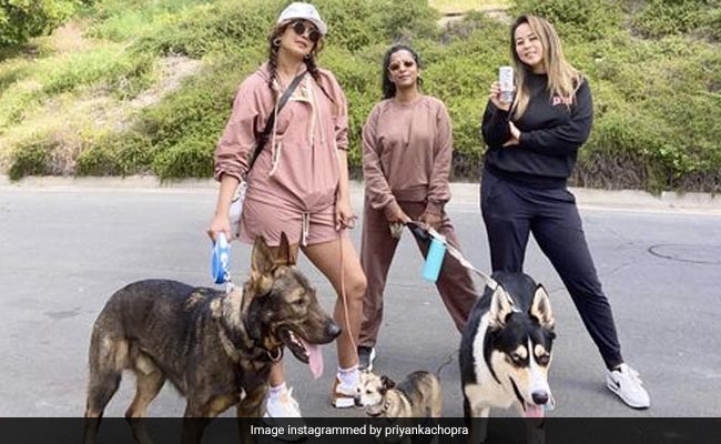 Inside Priyanka Chopra's "Soul Sunday" With Girlfriends And Puppies