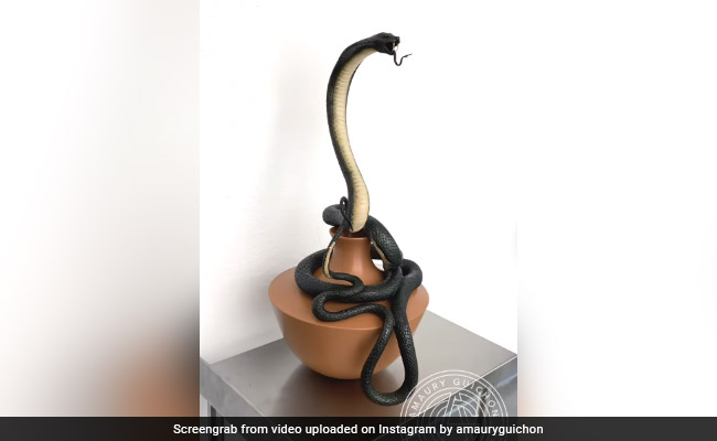 Viral Video: Chef's King Cobra Made Of Chocolate Amuses Internet