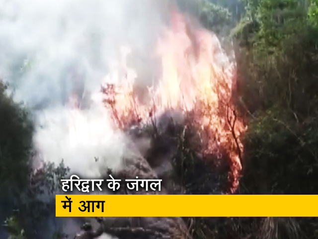 हरिद्वार के जंगल में लगी आग, स्‍थानीय लोगों ने पाया काबू 