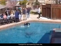कभी देखा है पानी के ऊपर डॉगी को यूं दौड़ लगाते, Video देख पैरों तले खिसक जाएगी जमीन कभी देखा है पानी के ऊपर डॉगी को यूं दौड़ लगाते, Video देख पैरों तले खिसक जाएगी जमीन