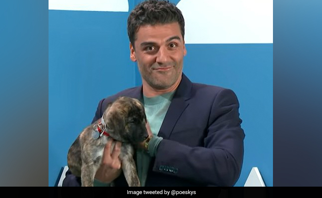 <i>Moon Knight</i>, Memes And More: The Reasons Oscar Isaac Has The Internet's Attention