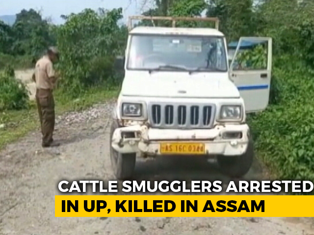 2 Cattle Smugglers Killed, 4 Cops Injured During Ambush In Assam