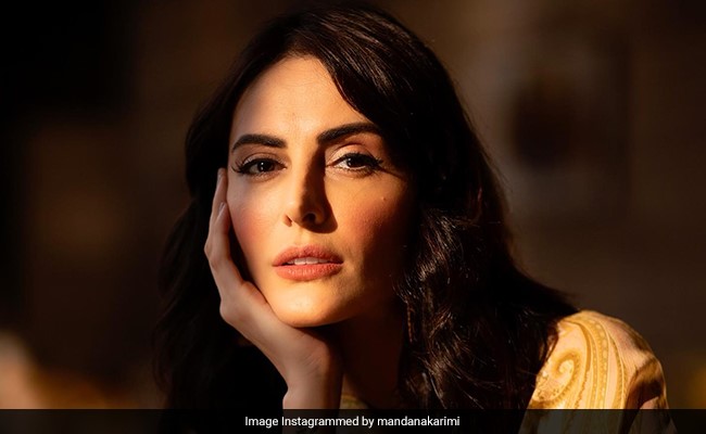 Mandana Karimi Reveals Romance With Filmmaker Which Led To Pregnancy