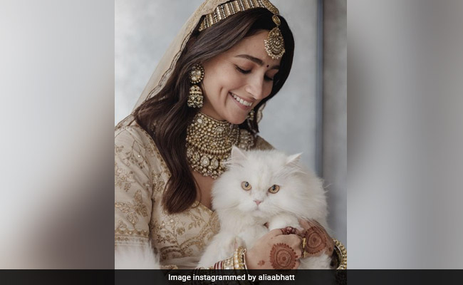Alia Bhatt And Her "Cat Of Honour" Edward In A Pic From Actress' Wedding