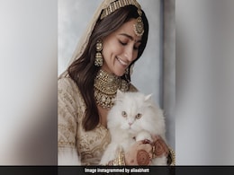 Alia Bhatt And Her "Cat Of Honour" Edward In A Pic From Actress' Wedding Alia Bhatt And Her "Cat Of Honour" Edward In A Pic From Actress' Wedding