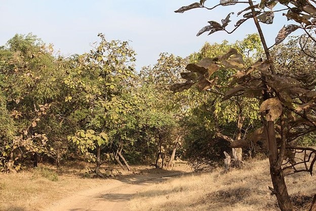 10 Off-Roading Trails In India