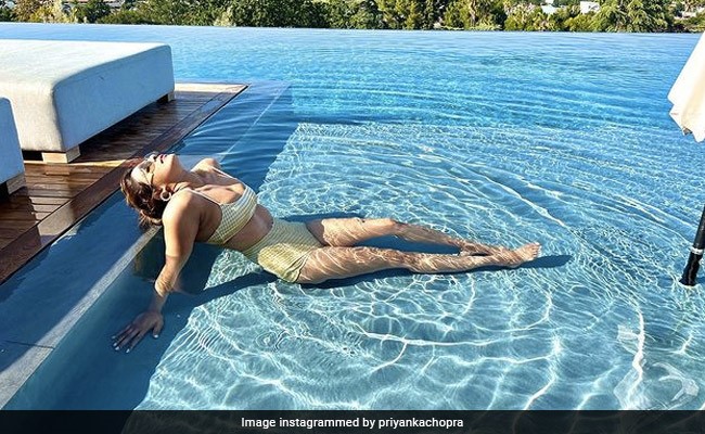 Priyanka Chopra, In A Yellow Bikini, Basks In The Sun. Nick Jonas Goes "Damn"