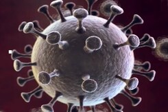 COVID-19: What Are The Symptoms Of XE Variant? COVID-19: What Are The Symptoms Of XE Variant?
