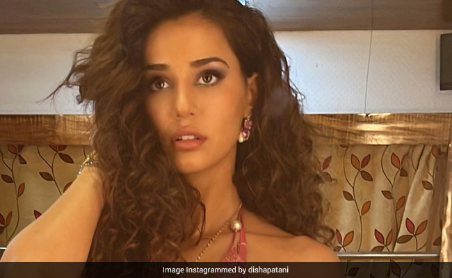 Disha Patani Sets The Internet Ablaze In A Pink Sequin Outfit. Tiger Shroff's Sister Reacts