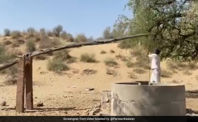 कुएं से पानी निकालने के लिए शख्स ने किया गजब जुगाड़, नहीं करनी पड़ी मेहनत, Video देख आप भी करेंगे तारीफ