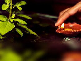 Tulsi Leaves Benefits: तुलसी की सूखी पत्तियों के हैं जबरदस्त फायदे, माना जाता है कि घर की निगेटिव एनर्जी होती है दूर Tulsi Leaves Benefits: तुलसी की सूखी पत्तियों के हैं जबरदस्त फायदे, माना जाता है कि घर की निगेटिव एनर्जी होती है दूर