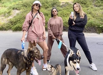 Priyanka Chopra's Korean BBQ Night With Girlfriends Is So Relatable - See Pics Priyanka Chopra's Korean BBQ Night With Girlfriends Is So Relatable - See Pics