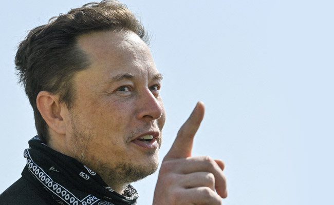 Job Application For Twitter's "Chief Love Officer". Attention, Elon Musk
