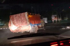 "Smuggled Cattle" Thrown From Truck In Gurgaon High-Speed Chase "Smuggled Cattle" Thrown From Truck In Gurgaon High-Speed Chase