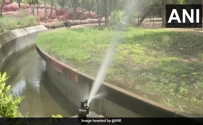 Hyderabad Zoo Uses Cooling Systems To Protect Animals In Summers