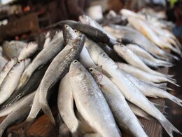 Meat, Fish Sale Banned In This Temple Town In Maharashtra Meat, Fish Sale Banned In This Temple Town In Maharashtra
