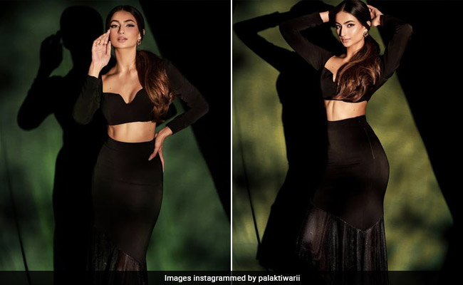 Palak Tiwari's Co-Ord Set Is Proof Enough That Black Can Never Be Boring