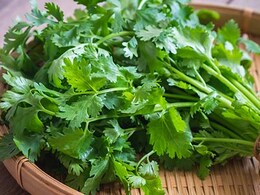 9 Superb Ways You Can Use Excess Coriander (Dhaniya) Leaves To Make Yummy Dishes