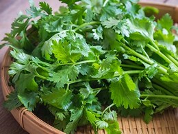 4 Ways To Use Coriander For Beautiful Skin