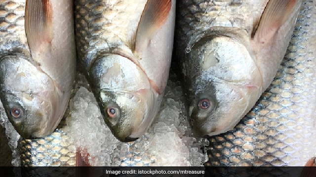 Fish is a great source of omega 3 fatty acids and has good quality proteins