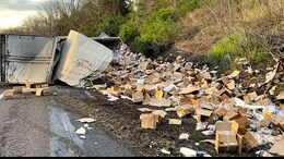 Overturned Truck In The US Spills 18,000 Kg Chicken Nuggets; Blocks Highway