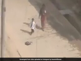 बच्चा नहीं जाना चाहता था स्कूल, गुस्से में सड़क पर ही फेंक दिया स्कूल बैग, फिर मां ने ऐसे सिखाया सबक - देखें VIDEO बच्चा नहीं जाना चाहता था स्कूल, गुस्से में सड़क पर ही फेंक दिया स्कूल बैग, फिर मां ने ऐसे सिखाया सबक - देखें VIDEO