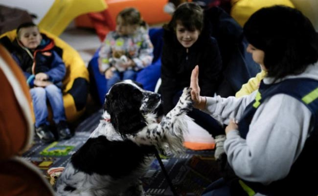 Dog Therapy Brings Much Needed Comfort To Displaced Ukrainian Children
