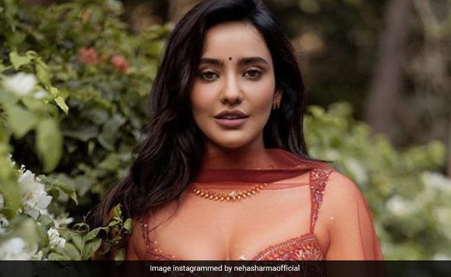 Trust Neha Sharma To Make A Sheer Red <i>Lehenga</i> Look Positively Scintillating