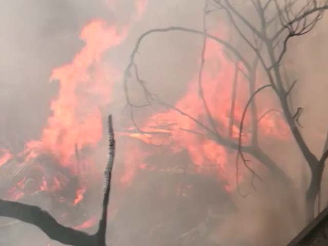 Massive Factory Fire Breaks Out In Kolkata