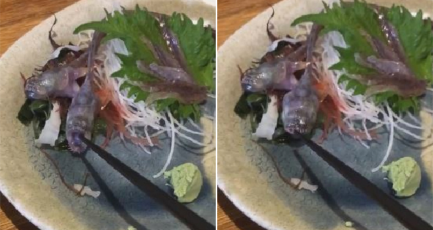 Shocking Video: Raw Fish Served At Japanese Restaurant Comes Alive On The Plate