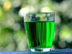 इलाइची का शरबत Recipe