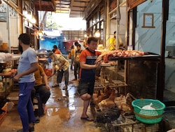 Odisha's Koraput Bans Non-Veg Food For 77th Republic Day