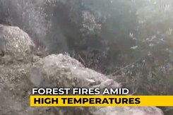 High Temperatures, Long Dry Spell Spark Forest Fires In Himachal High Temperatures, Long Dry Spell Spark Forest Fires In Himachal