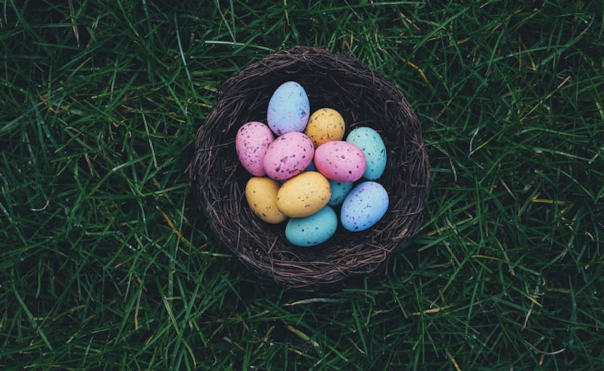 Latest and Breaking News on NDTV Latest and Breaking News on NDTV