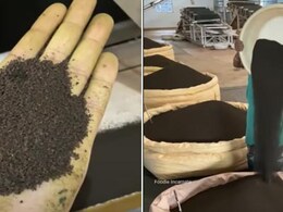 Love Tea? This Viral Video Shows How Chai Patti Is Manufactured In Assam